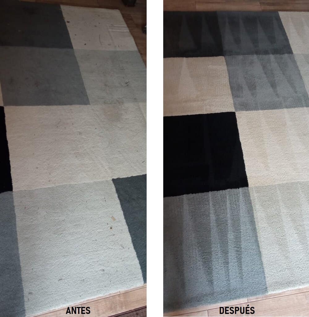 Alfombra limpia y renovada tras servicio profesional de limpieza.